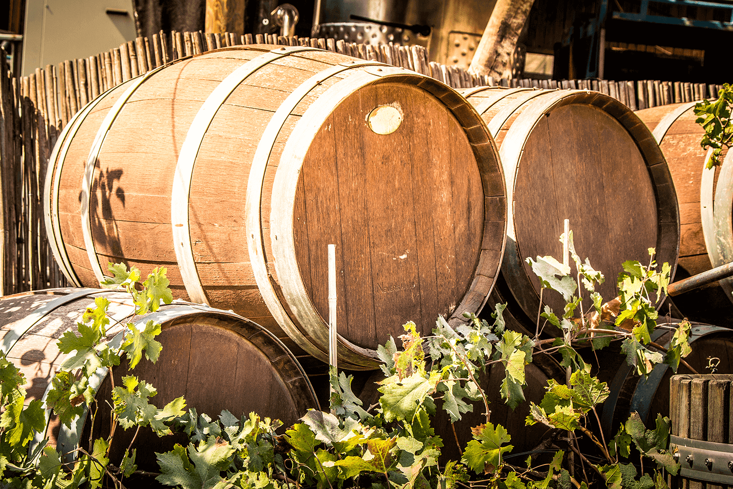 Wine Barrells